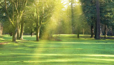 Lowe Funeral Home